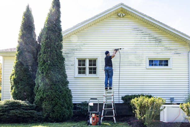 Best Pressure Washing Patio  in Rotonda, FL